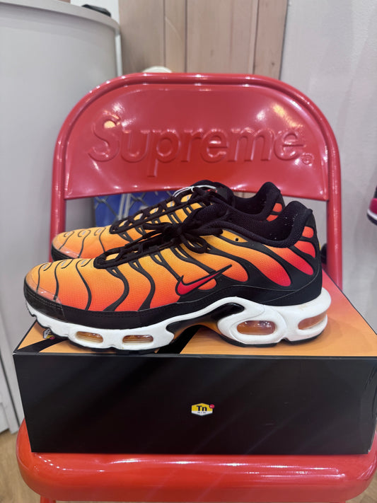 Air max plus TN Tiger 2018