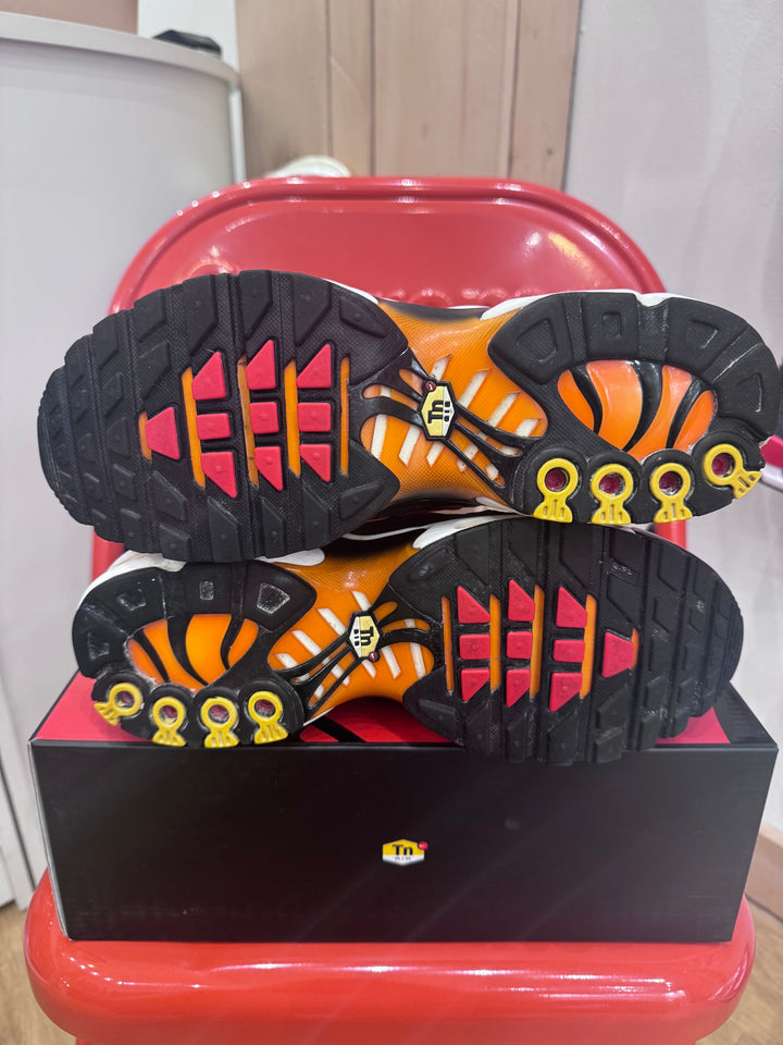 Air max plus TN Tiger 2018