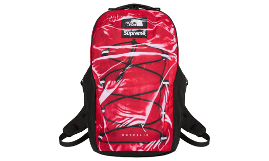 Supreme/The North Face Trompe L’oeil Printed Borealis Backpack