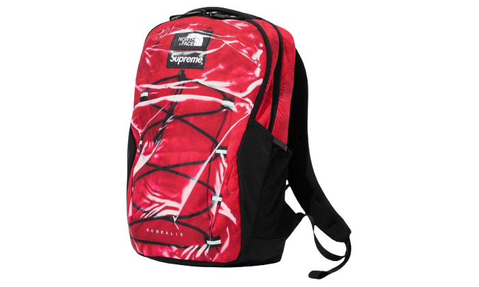 Supreme/The North Face Trompe L’oeil Printed Borealis Backpack