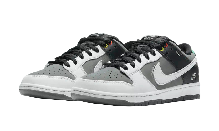 Dunk Low SB 'Camcorder'